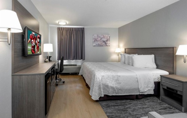 Red Roof PLUS+ Boston - Mansfield/ Foxboro image 21