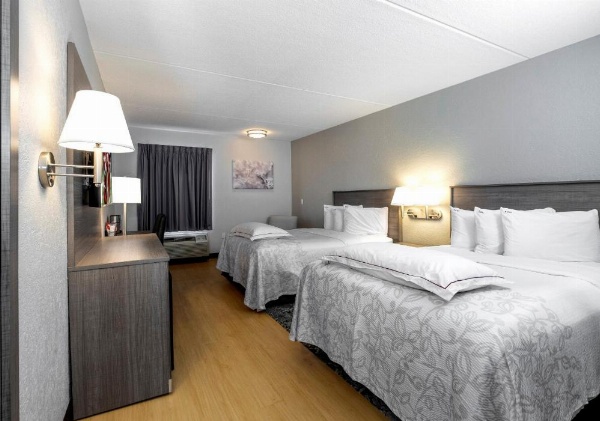 Red Roof PLUS+ Boston - Mansfield/ Foxboro image 29