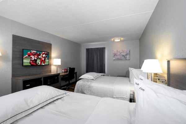 Red Roof PLUS+ Boston - Mansfield/ Foxboro image 30